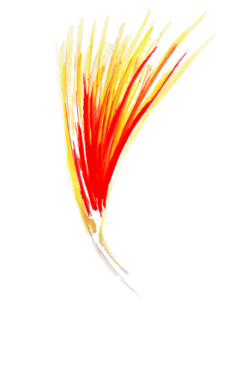 Réalisé par Méryl Bougo