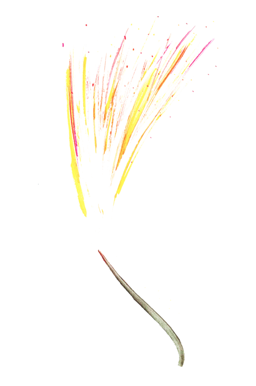 Réalisé par Méryl Bougo