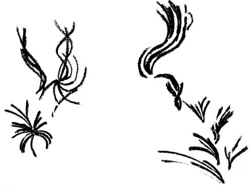 Réalisé par Méryl Bougo